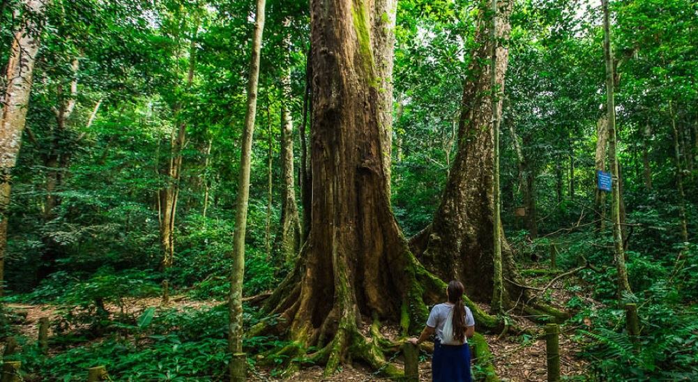 Cuc Phuong National Park and Mai Chau Tour 3 Days