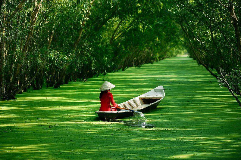 The Beauties Of Vietnam