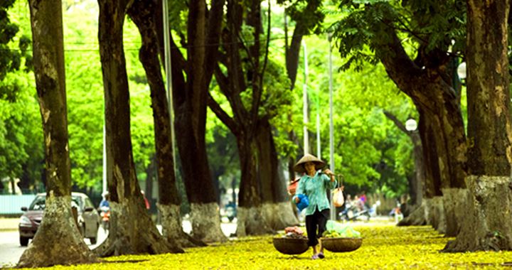 Hà Nội